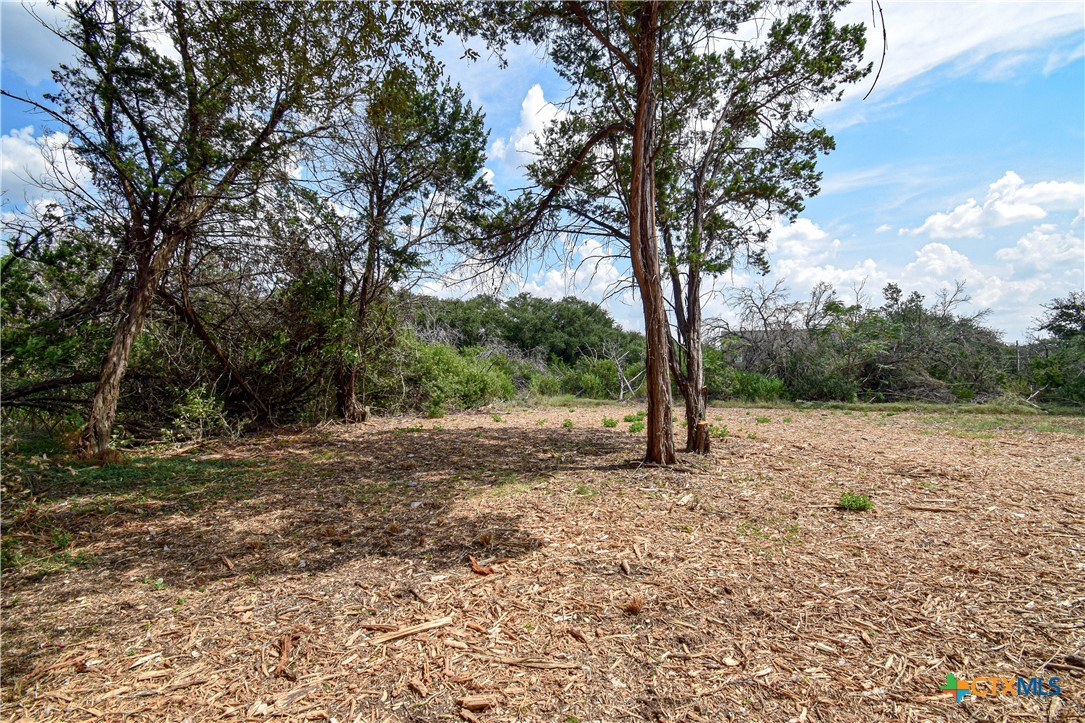 332 Arrowhead Point Road Belton, TX 76513 - Photo 6 of 15 a big yard with lots of green space and trees