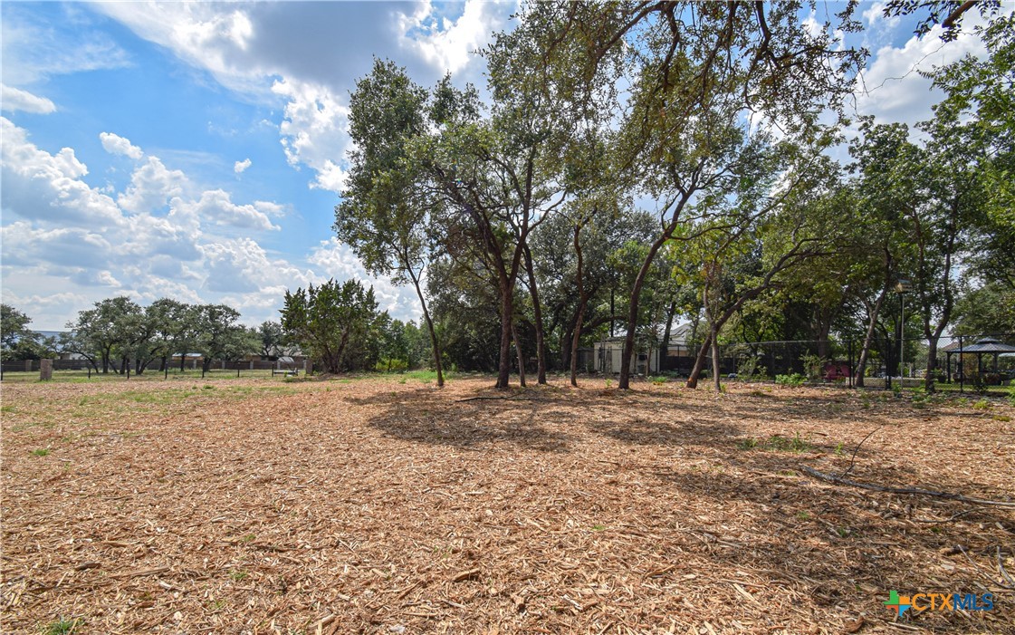 332 Arrowhead Point Road Belton, TX 76513 - Photo 7 of 15 a view of dirt yard with trees