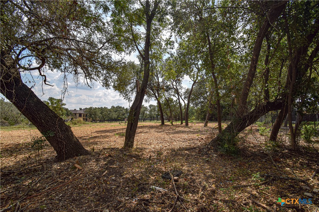332 Arrowhead Point Road Belton, TX 76513 - Photo 8 of 15 a view of a tree in a yard
