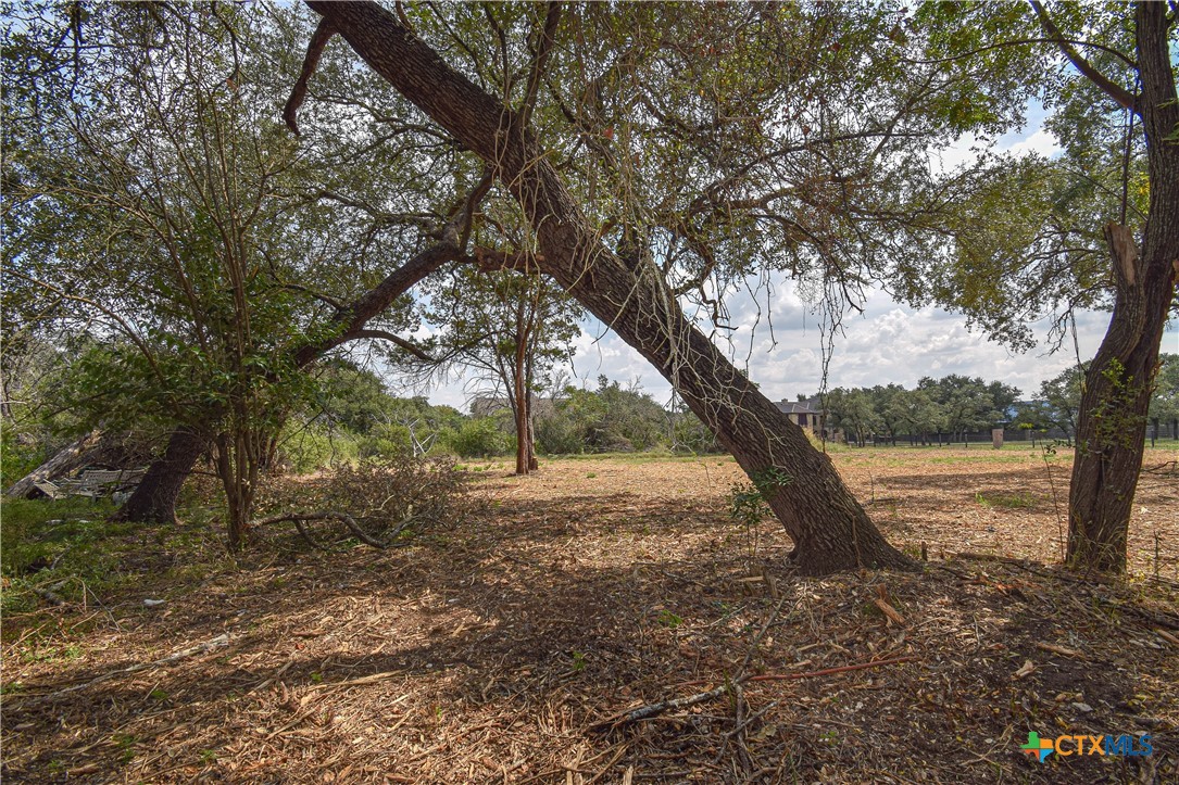 332 Arrowhead Point Road Belton, TX 76513 - Photo 9 of 15 a view of a yard with a tree