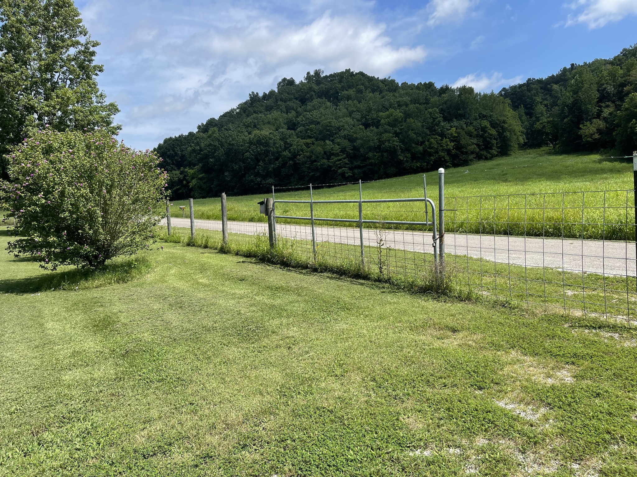 2330 Dog Branch Road Prospect, TN 38477 - Photo 11 of 31 a view of a backyard with a garden