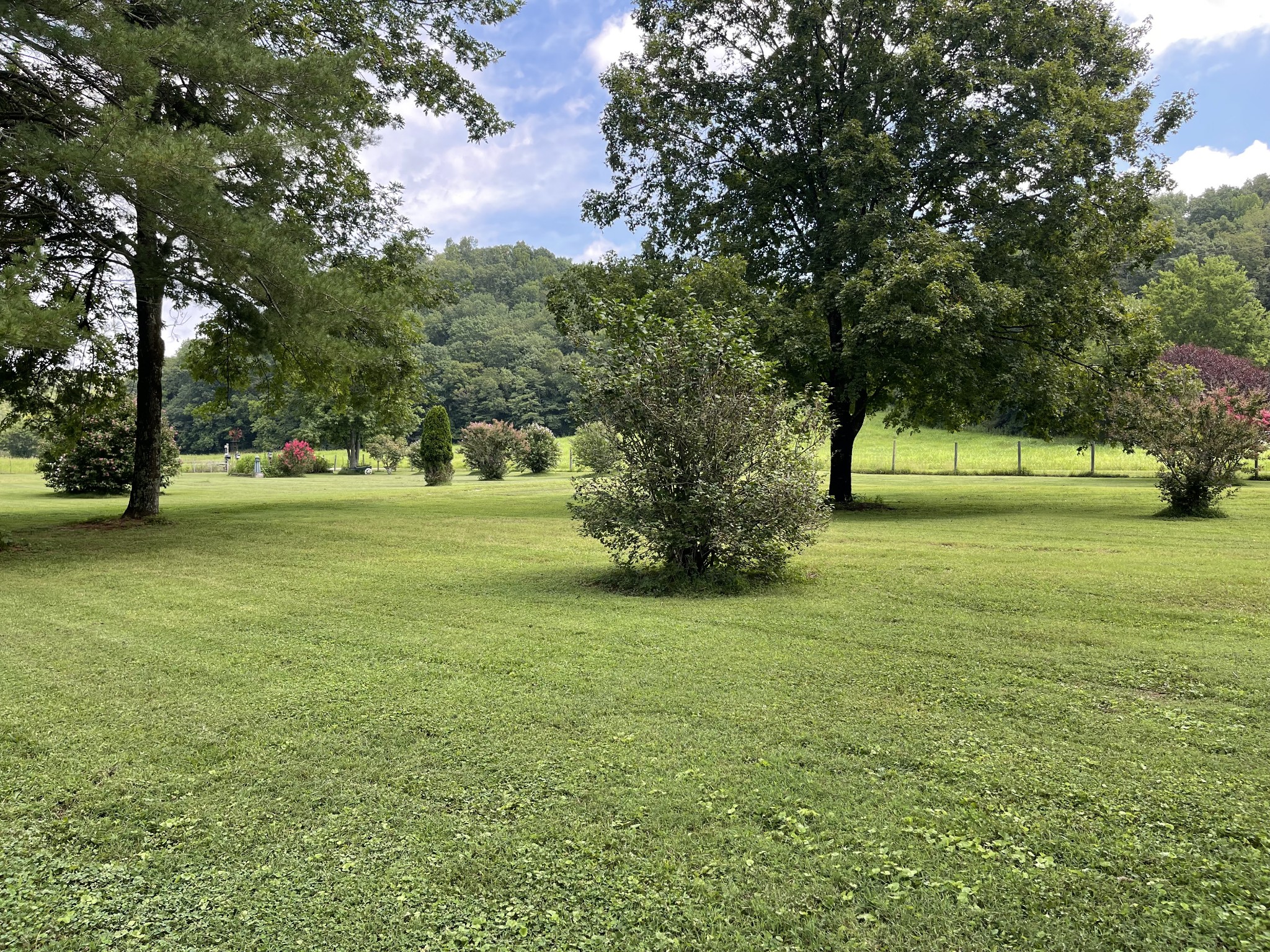 2330 Dog Branch Road Prospect, TN 38477 - Photo 13 of 31 a view of a field with a tree