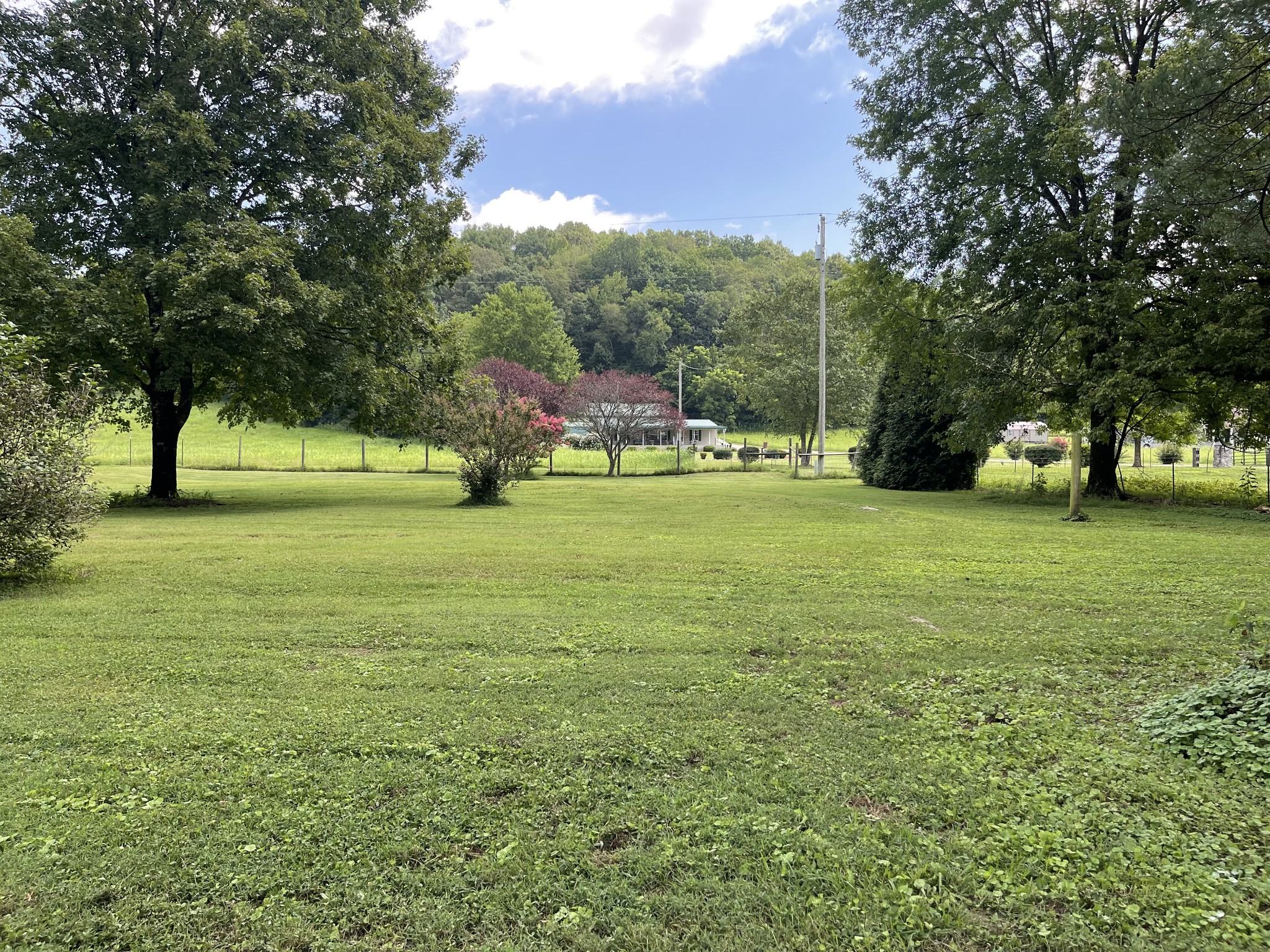 2330 Dog Branch Road Prospect, TN 38477 - Photo 14 of 31 a view of a field with of trees