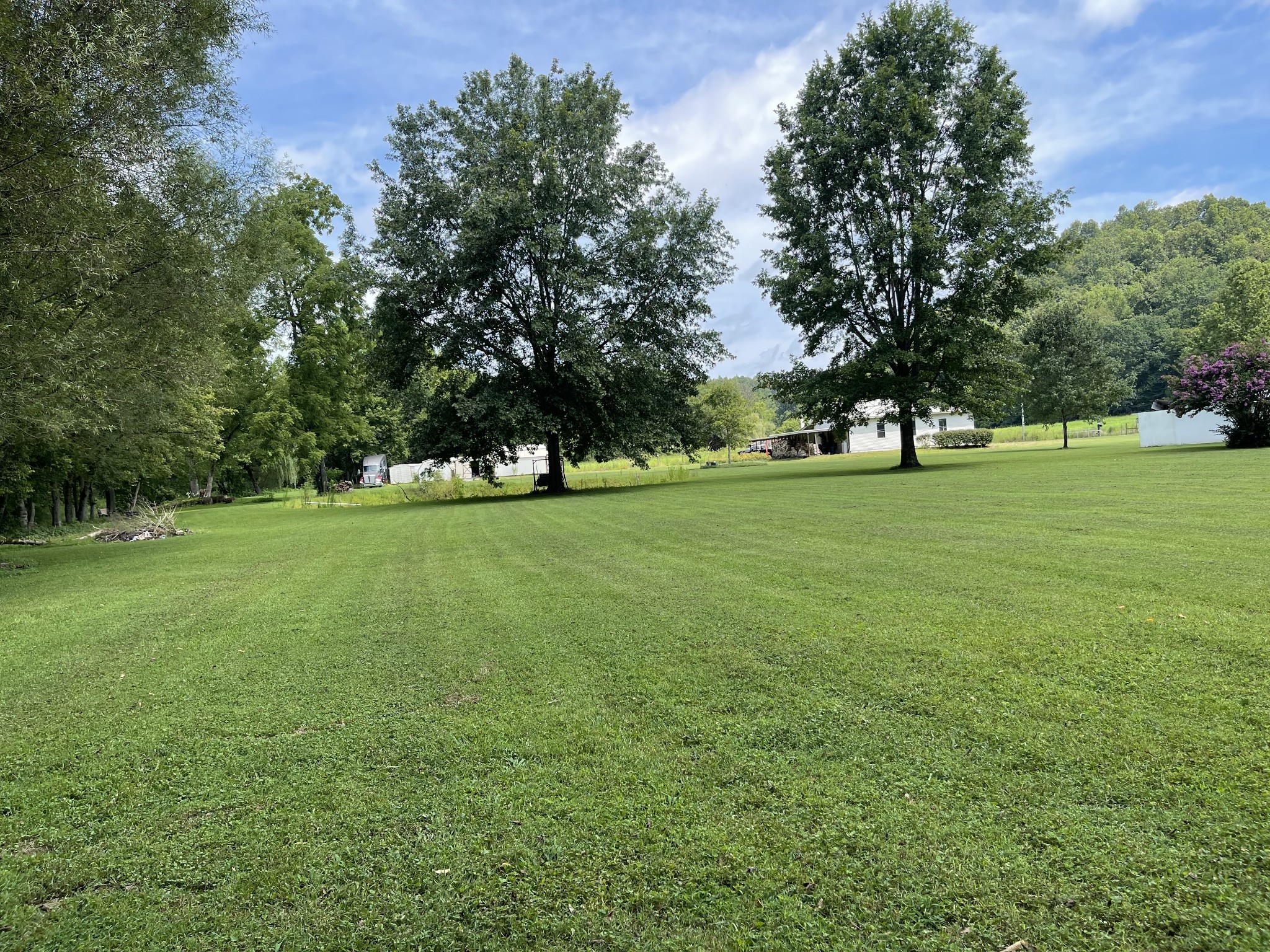 2330 Dog Branch Road Prospect, TN 38477 - Photo 16 of 31 a view of a trees in a field
