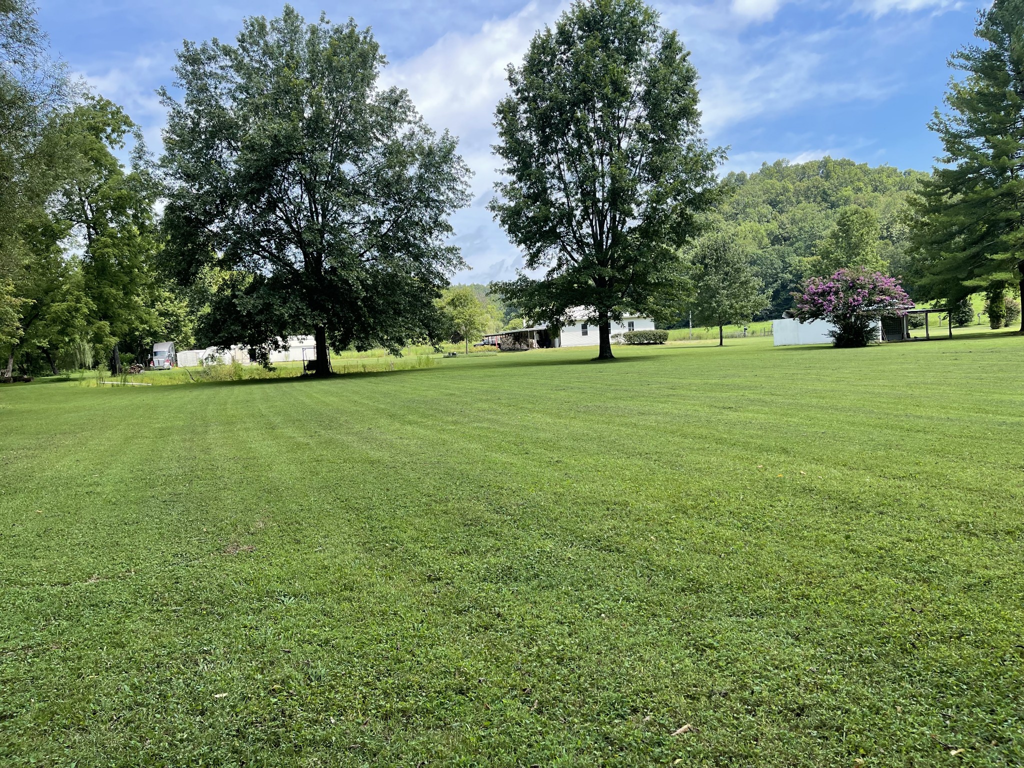 2330 Dog Branch Road Prospect, TN 38477 - Photo 19 of 31 a view of a trees in a yard