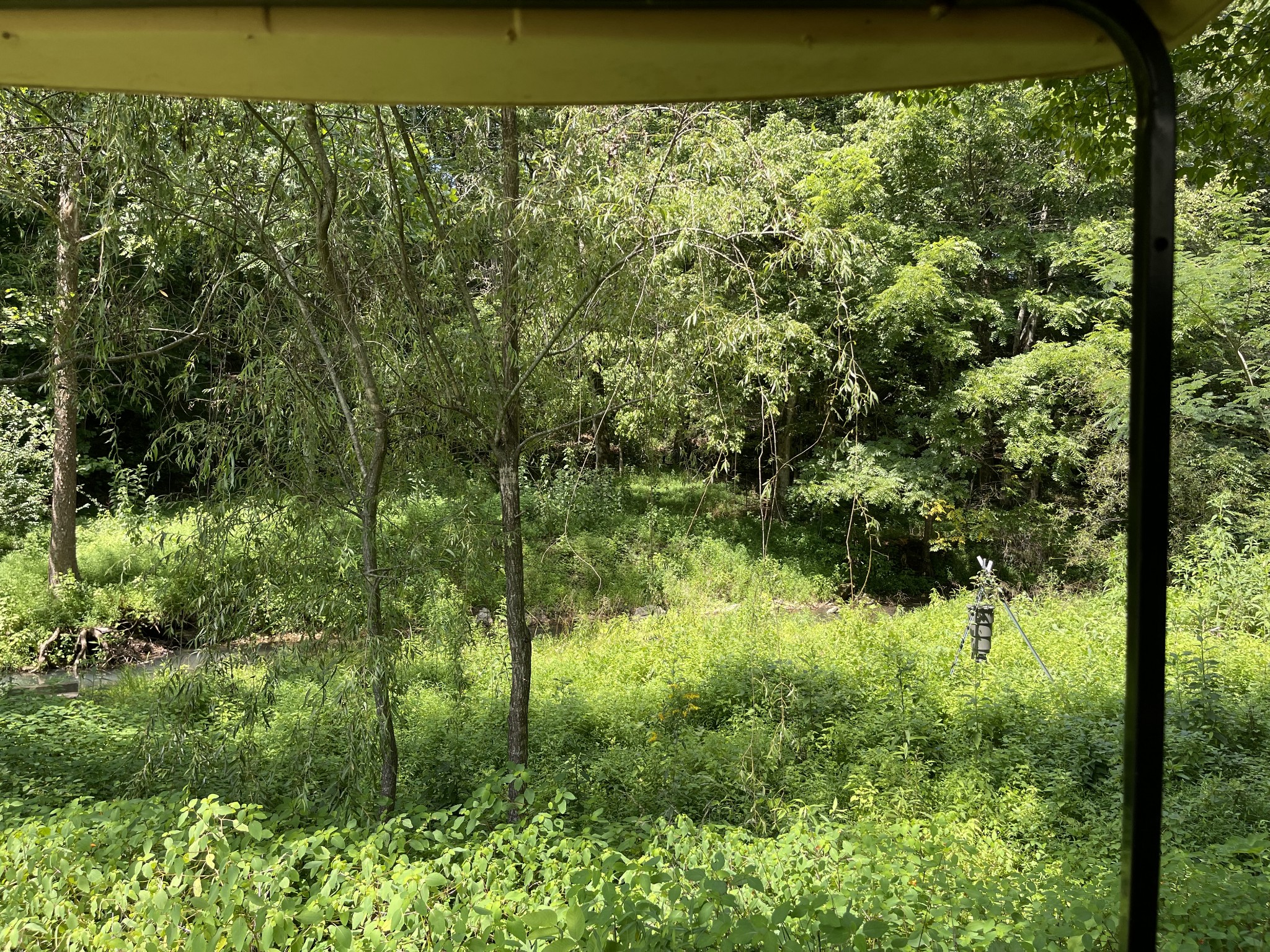 2330 Dog Branch Road Prospect, TN 38477 - Photo 21 of 31 a view of a lake with a forest