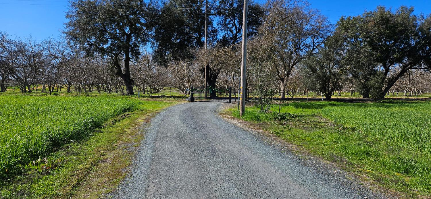 20822 Disch Road Lockeford, CA 95237 - Photo 25 of 30 a view of a street with a yard and trees