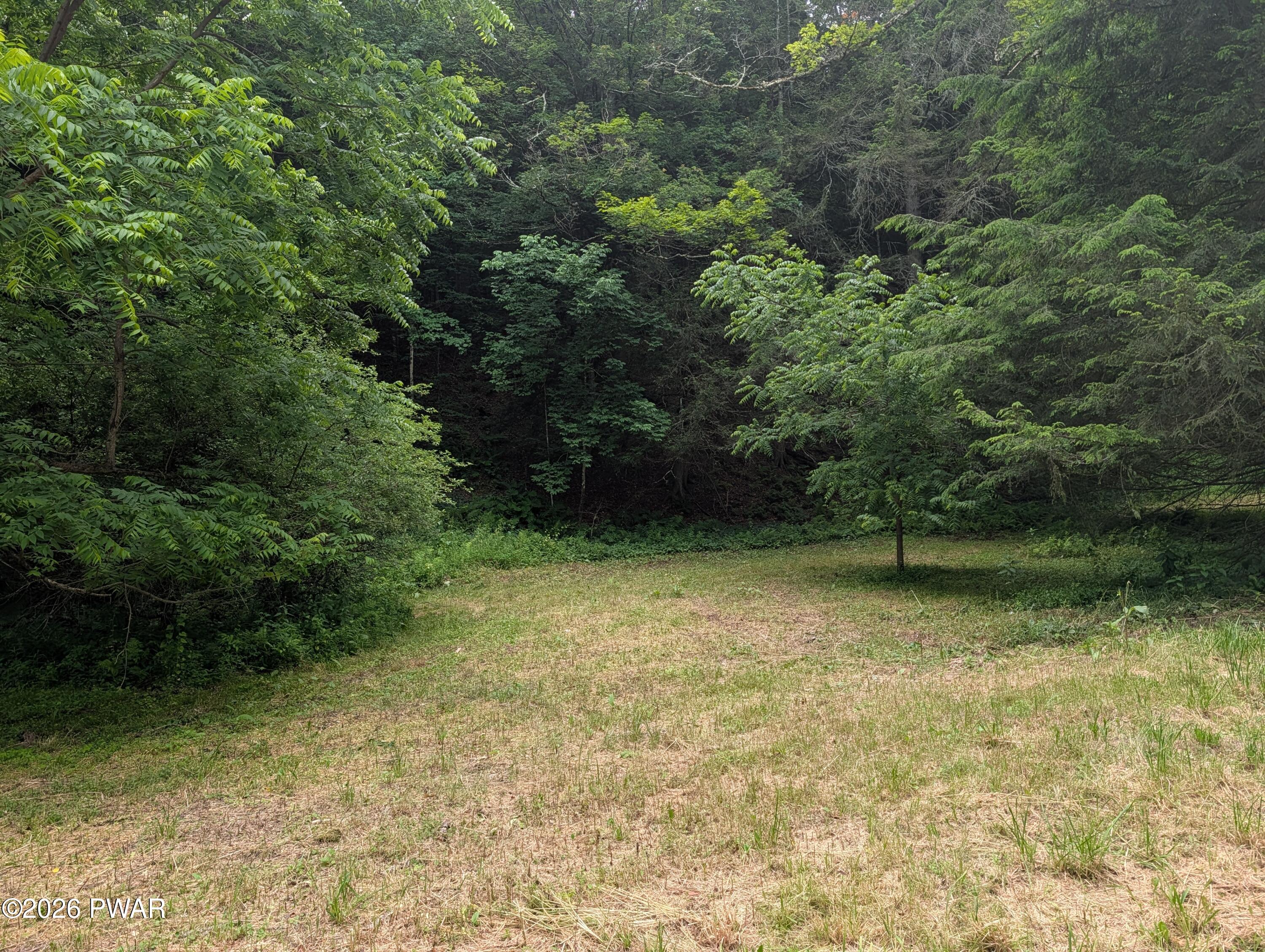 103 Hopkins Road Tyler Hill, PA 18469 - Photo 1 of 10