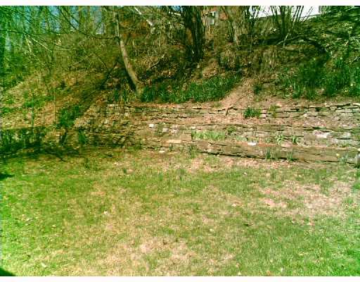 2904 Fernwald Road Pittsburgh, PA 15217 - Photo 8 of 8 Yard/Garden.