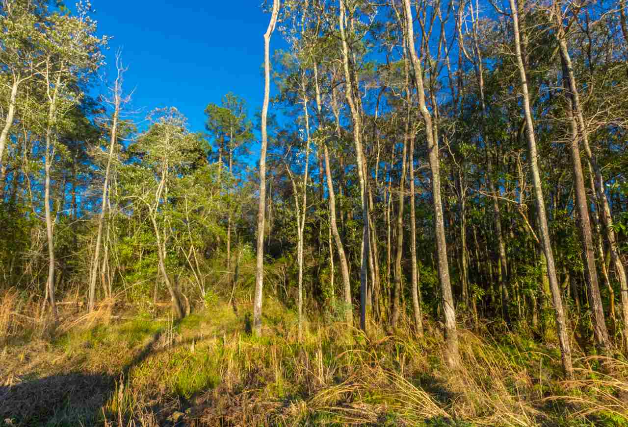 24570 Miflin Road Elberta, AL 36530 - Photo 9 of 15
