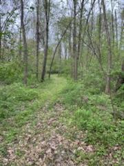 55322 Territorial Road Decatur, MI 49045 - Photo 36 of 43 IMG_2301