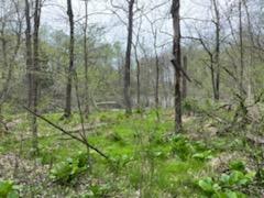 55322 Territorial Road Decatur, MI 49045 - Photo 38 of 43 IMG_2306