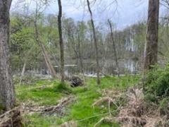 55322 Territorial Road Decatur, MI 49045 - Photo 39 of 43 IMG_2307
