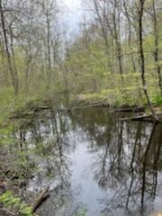 55322 Territorial Road Decatur, MI 49045 - Photo 40 of 43 IMG_2308