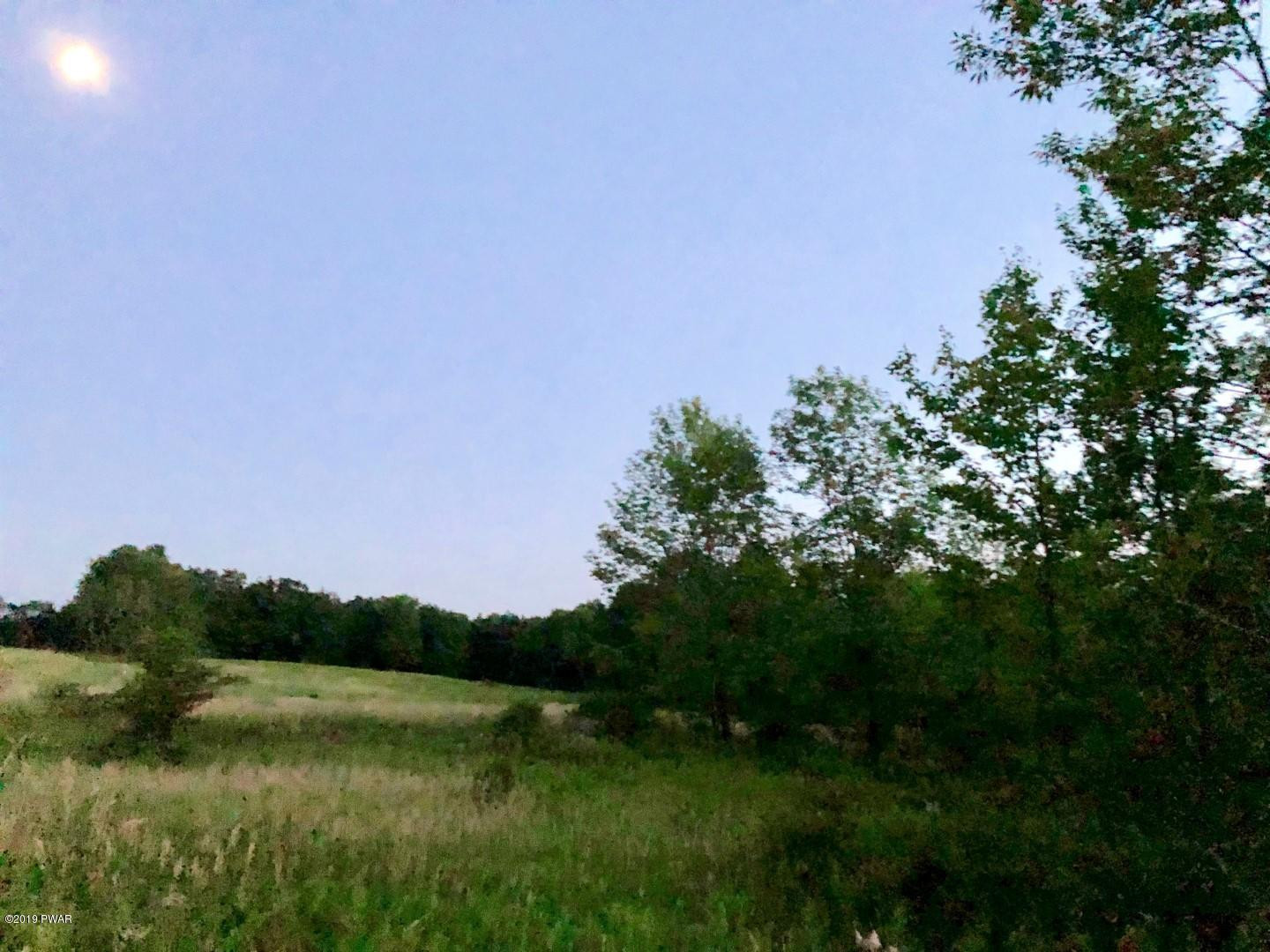 Lot 5 Ledgedale Rd Lake Lake Ariel, PA 18436 - Photo 4 of 9