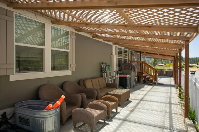 a view of a tree in a garden