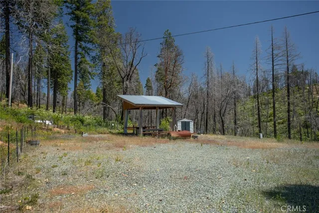 a view of a garden with a yard