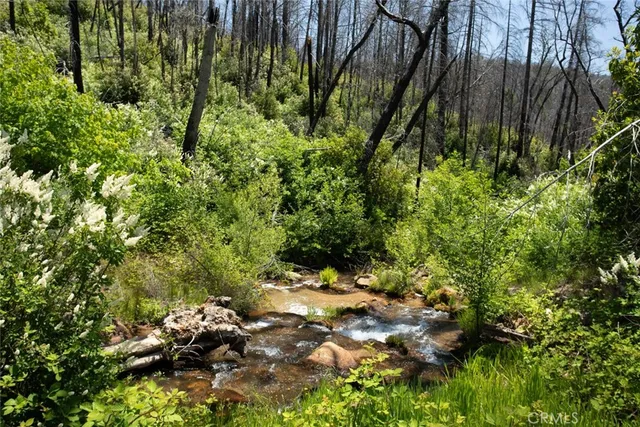 $387,500 | 56 Star Road, Berry Creek, CA 95916