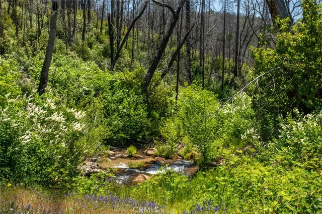 $387,500 | 56 Star Road, Berry Creek, CA 95916