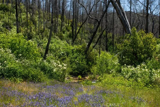 $387,500 | 56 Star Road, Berry Creek, CA 95916