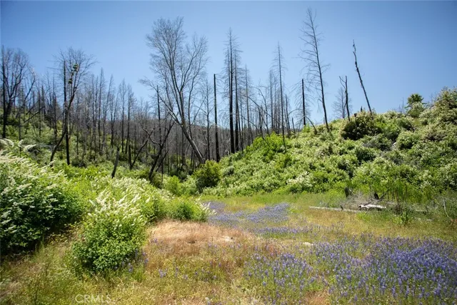 $387,500 | 56 Star Road, Berry Creek, CA 95916