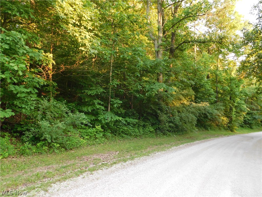 0 Man Of War Road Walker, WV 26180 - Photo 2 of 10 Country roads take us "home"