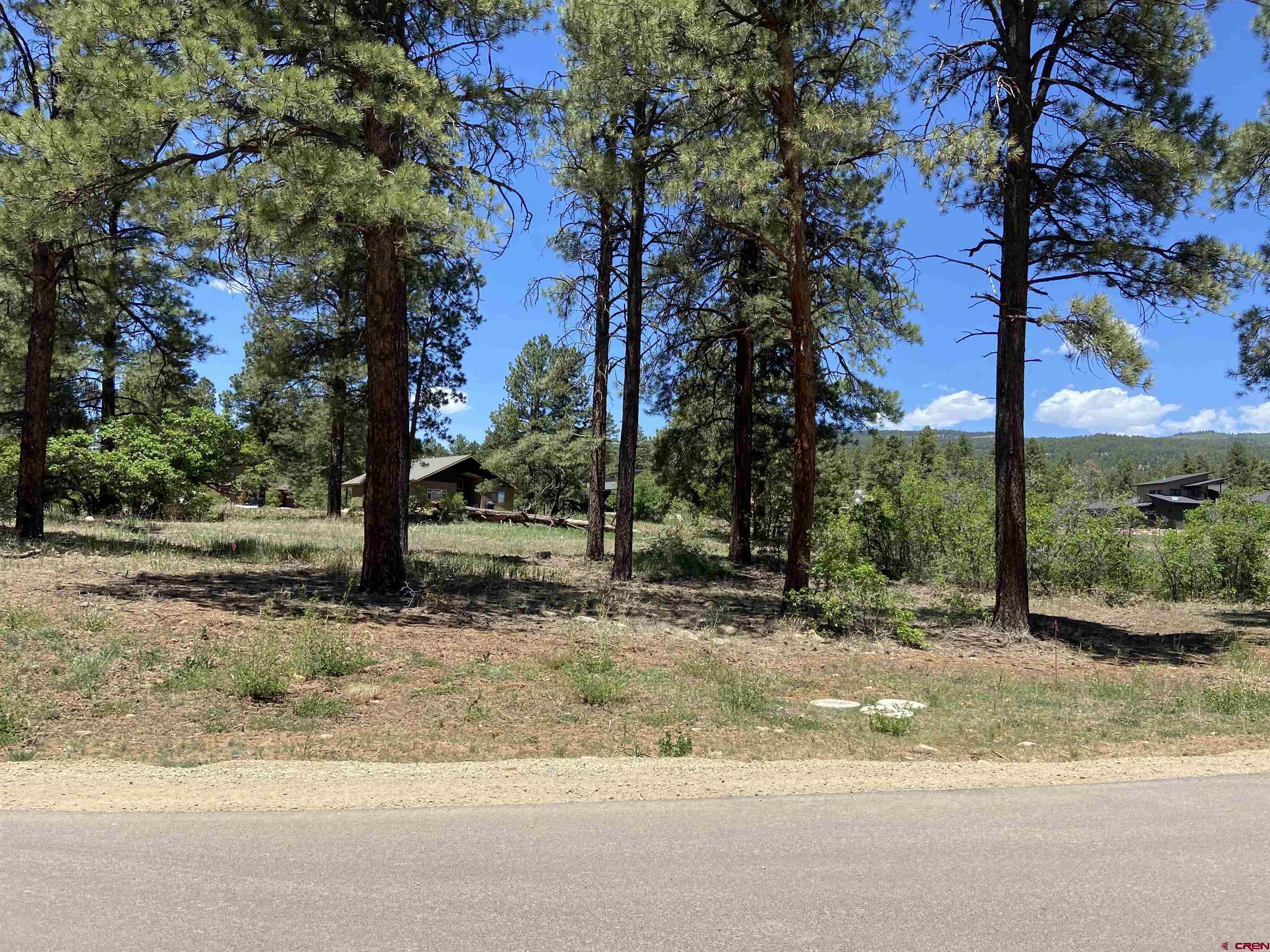 333 Edgemont Meadows Road Durango, CO 81301 - Photo 6 of 6 a view of a yard with a tree