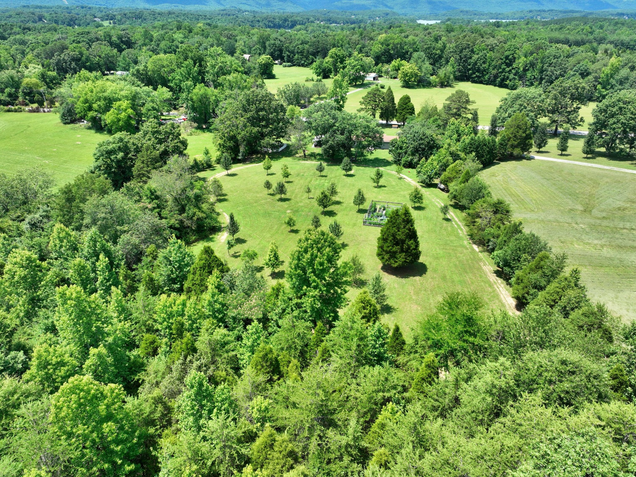 5858 Wolf Creek Road Spring City, TN 37381 - Photo 65 of 76