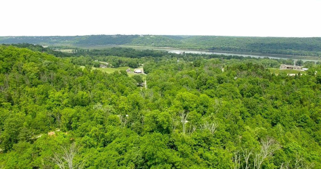 3559 9 Mile Road Melbourne, KY 41059 - Photo 3 of 28 Gallery Image 3