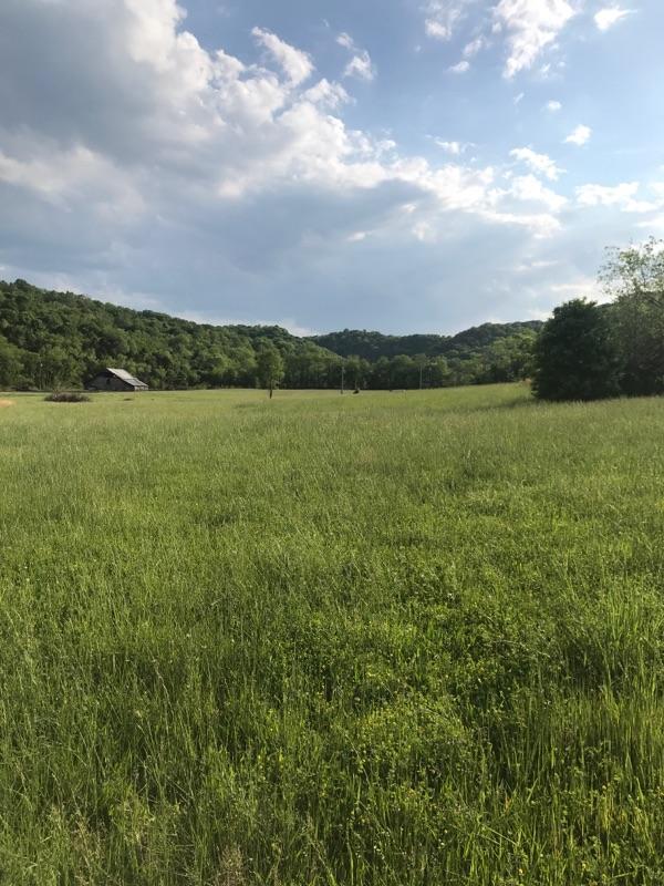 0 Stiversville Road Lynnville, TN 38472 - Photo 4 of 5 Gallery Image 4
