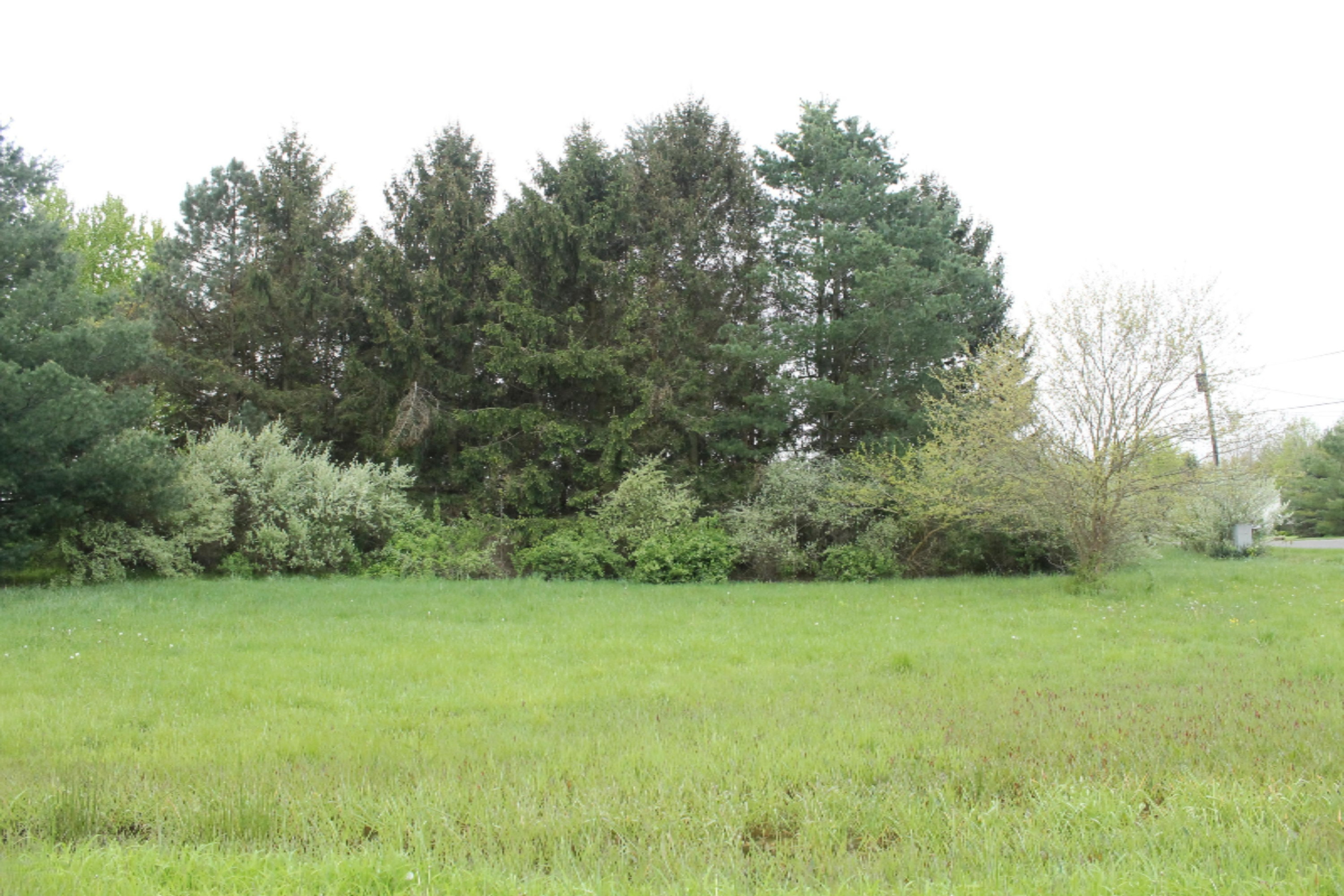 Ott Road Bridgman, MI 49106 - Photo 3 of 3 IMG_5617