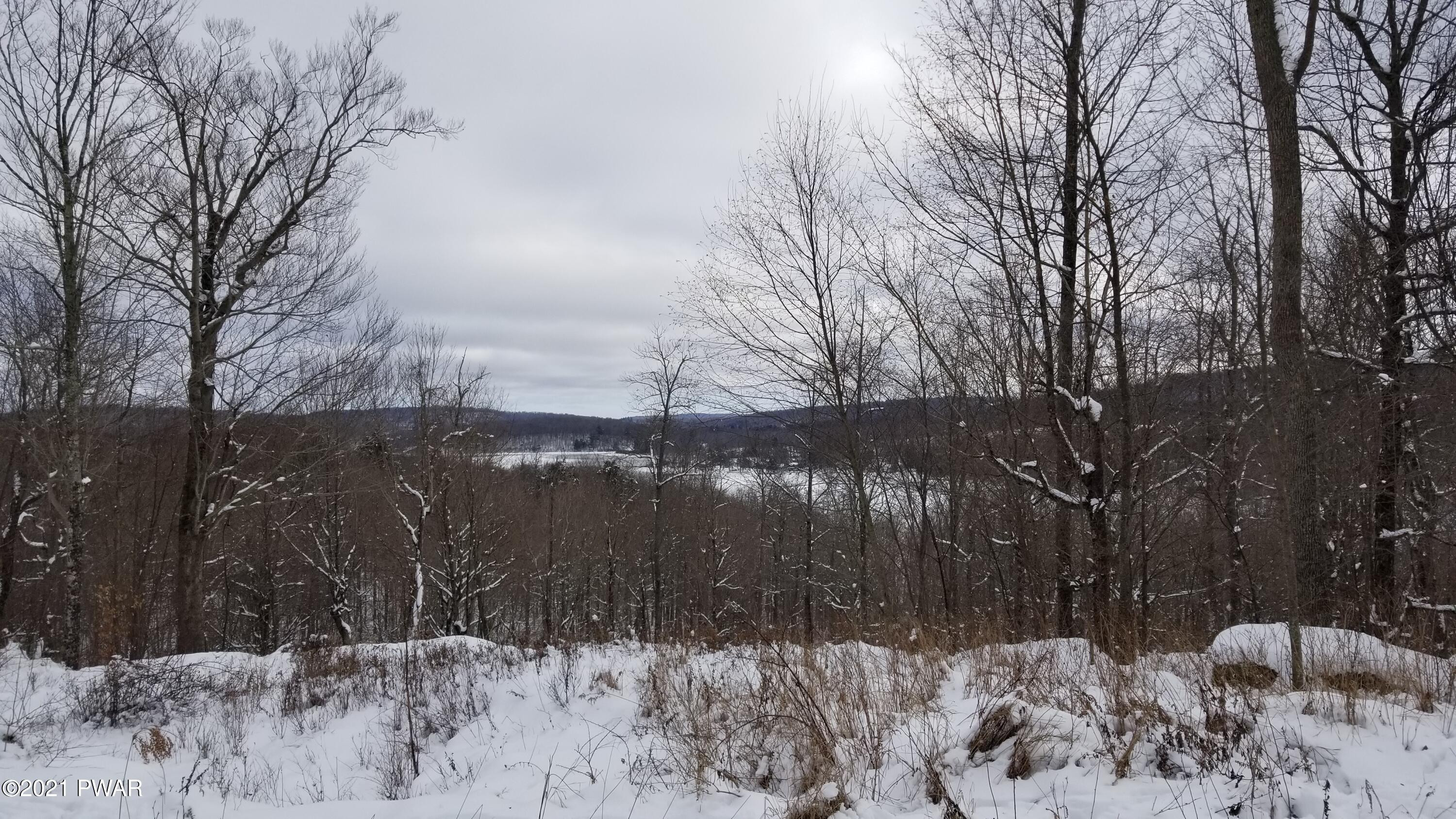Lot 63 Old Woods Road Equinunk, PA 18417 - Photo 1 of 63
