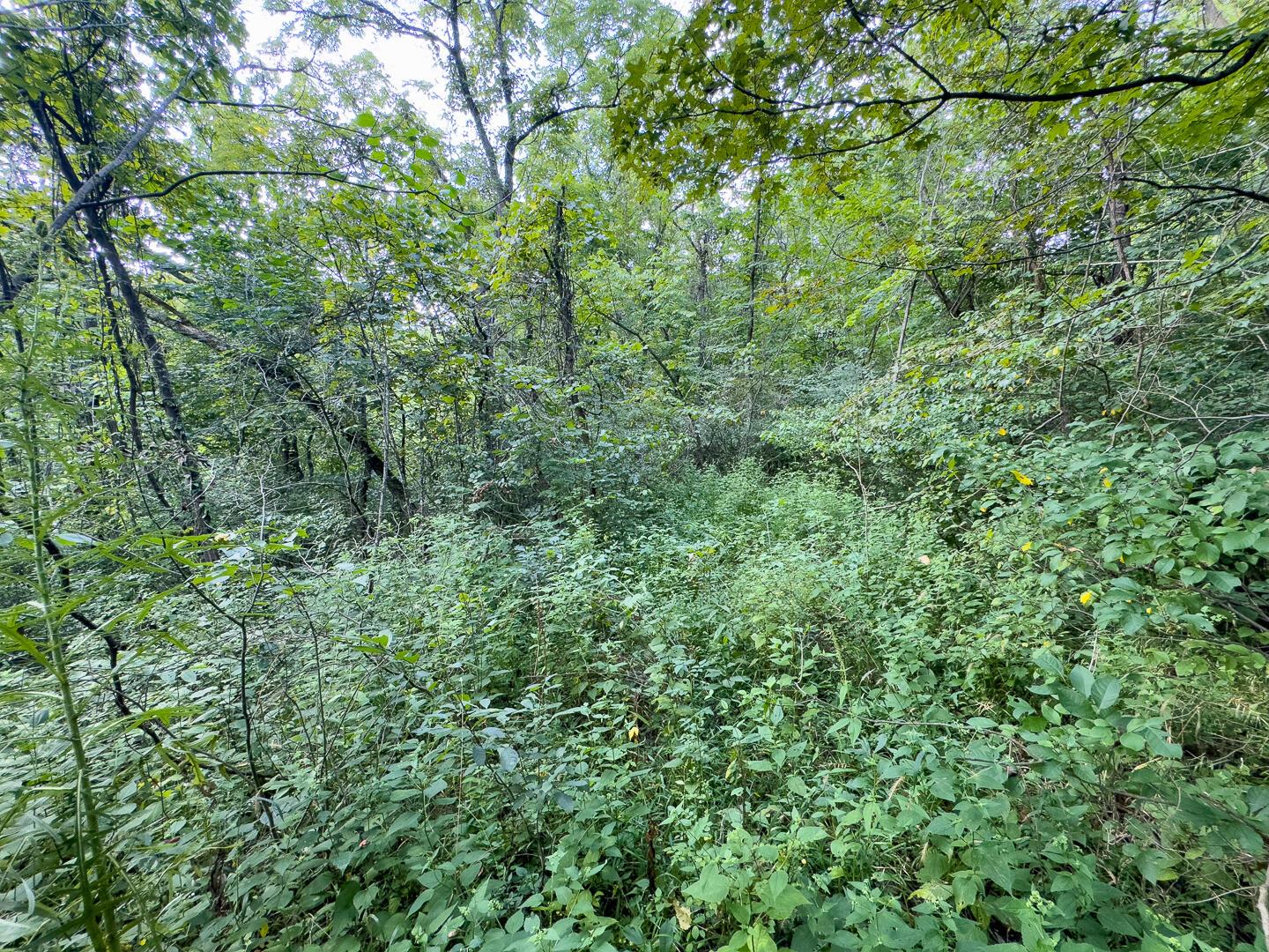 0 East Sand Ridge Road, Unit 338 Albany, OH 45710 - Photo 17 of 30 17-0 Sand Ridge Rd Ground-11