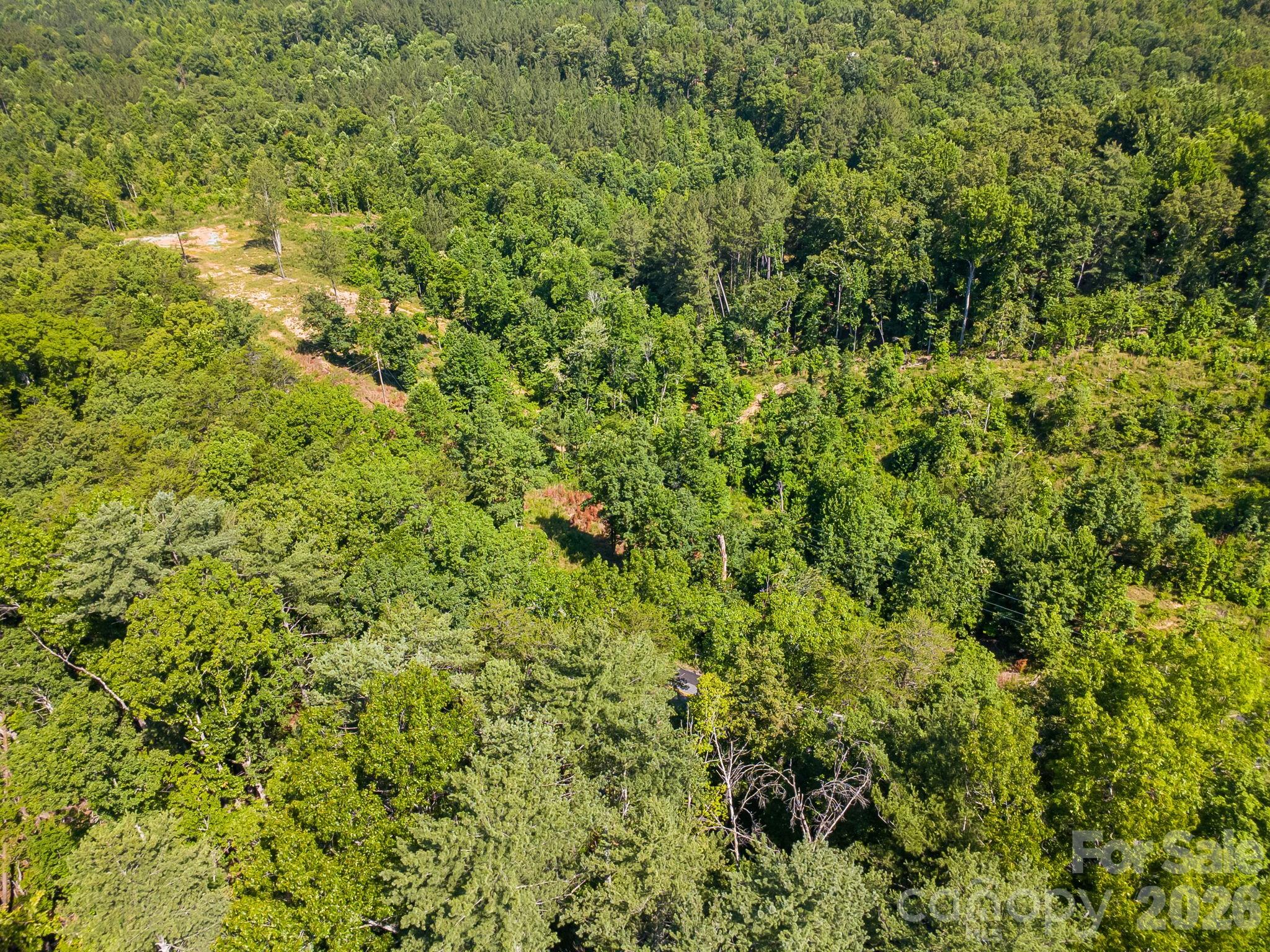 Lot #2 Clark Road Rutherfordton, NC 28139 - Photo 29 of 36