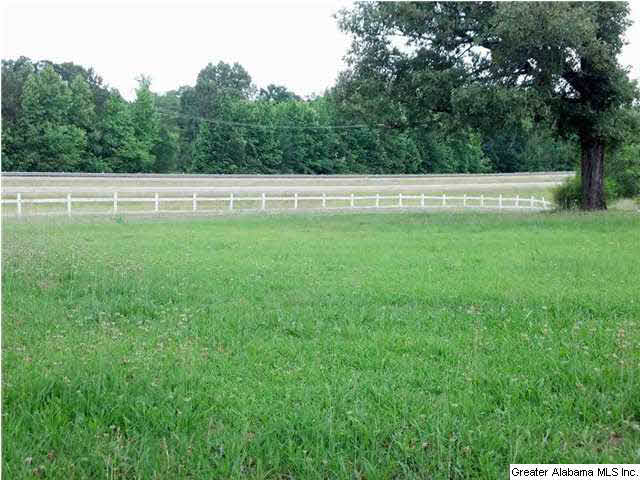 9868 Highway 431 Alexandria, AL 36250 - Photo 2 of 28