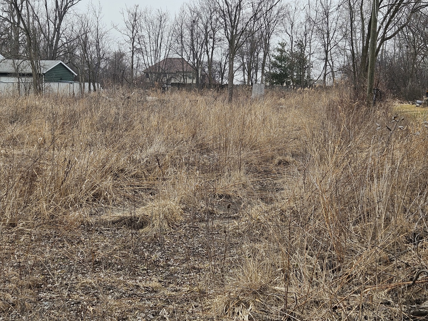 4300 Davis Street Matteson, IL 60443 - Photo 3 of 4