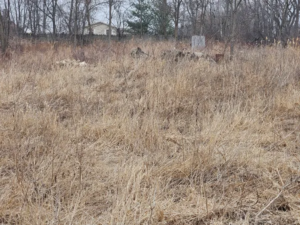 $35,000 | 4300 Davis Street, Matteson, IL 60443