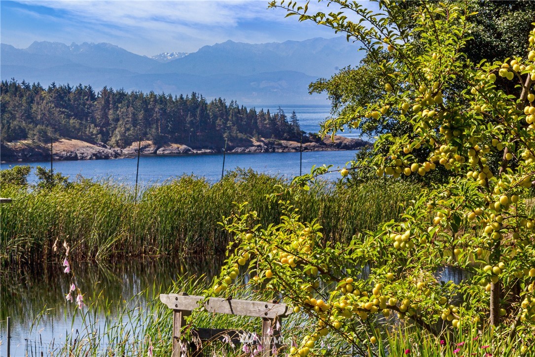 257 Dusty Road Lopez Island, WA 98261 - Photo 36 of 36