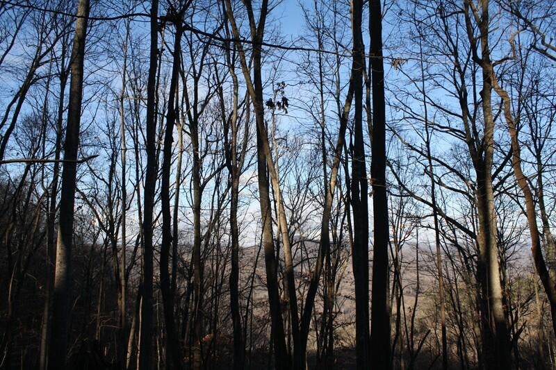 Zion Mountain Road Hinton, WV 25951 - Photo 60 of 73 Gallery Image 60