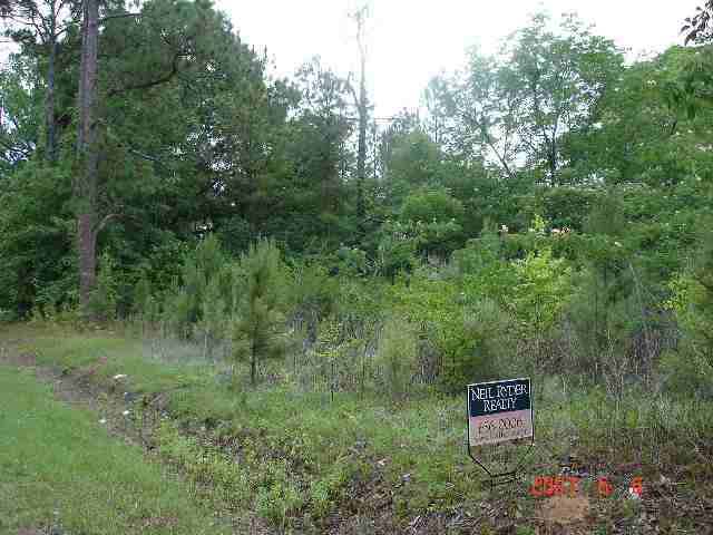 1962 Crowder Road Tallahassee, FL 32303 - Photo 4 of 5 Gallery Image 4