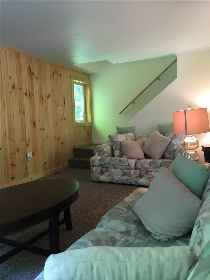 315 Pams Hill Road Wardsboro, VT 05360 - Photo 7 of 26