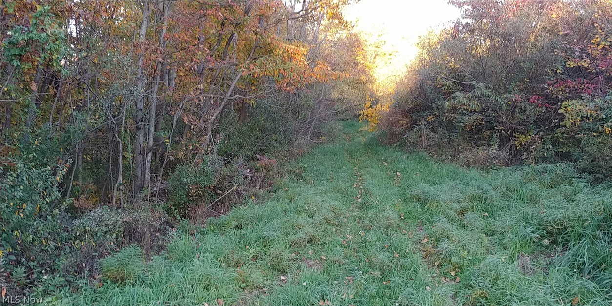 2450 Keffer Road Stockport, OH 43787 - Photo 11 of 35