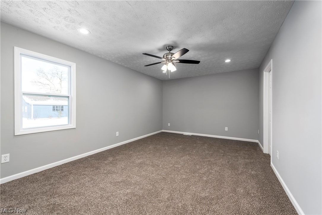 317 Substation Road Brunswick, OH 44212 - Photo 23 of 36 Carpet and ceiling fan