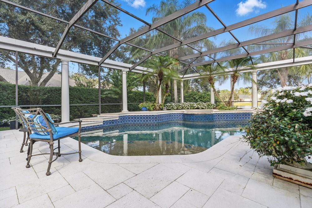 8375 Bowden Way Windermere, FL 34786 - Photo 50 of 62 a view of a swimming pool with a lounge chair