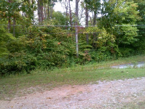 247 Norman Road Powell, TN 37849 - Photo 12 of 30 Additional Photo