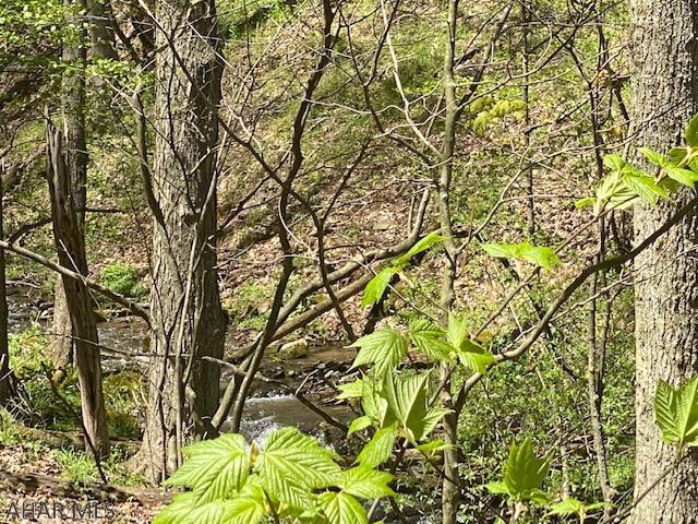 0 Sleigh Hollow Road Duncansville, PA 16635 - Photo 15 of 19 Gallery Image 15