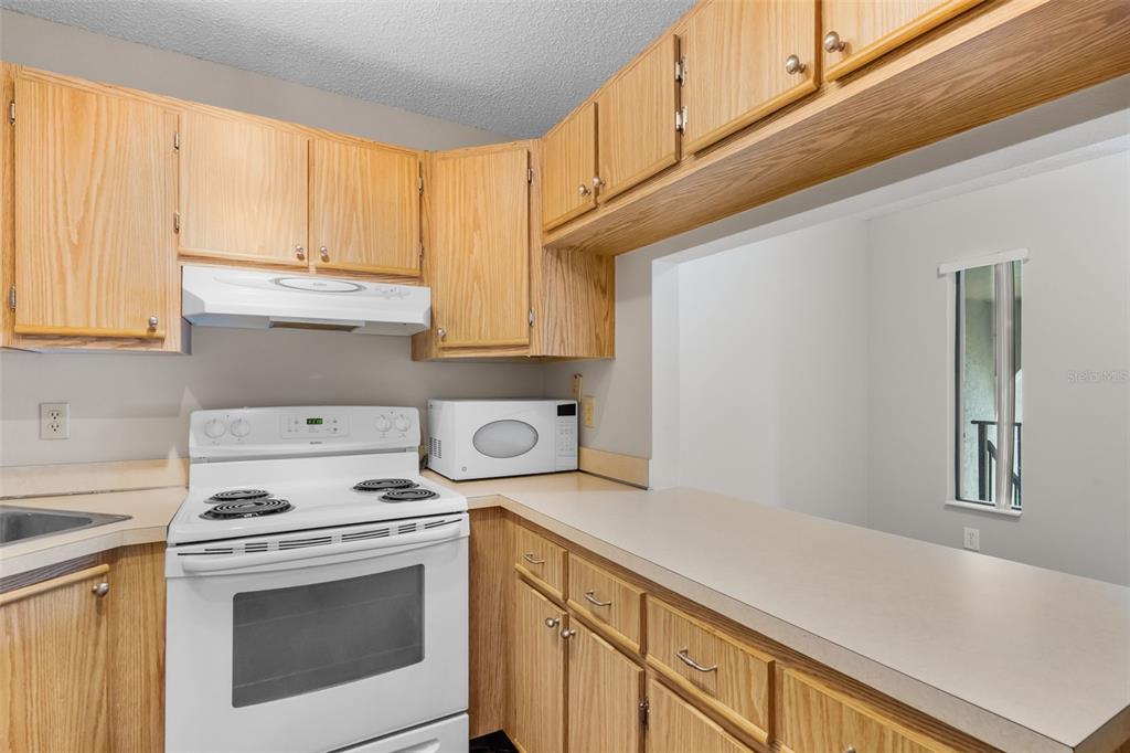 1726 Pine Ridge Road Sanford, FL 32773 - Photo 27 of 41