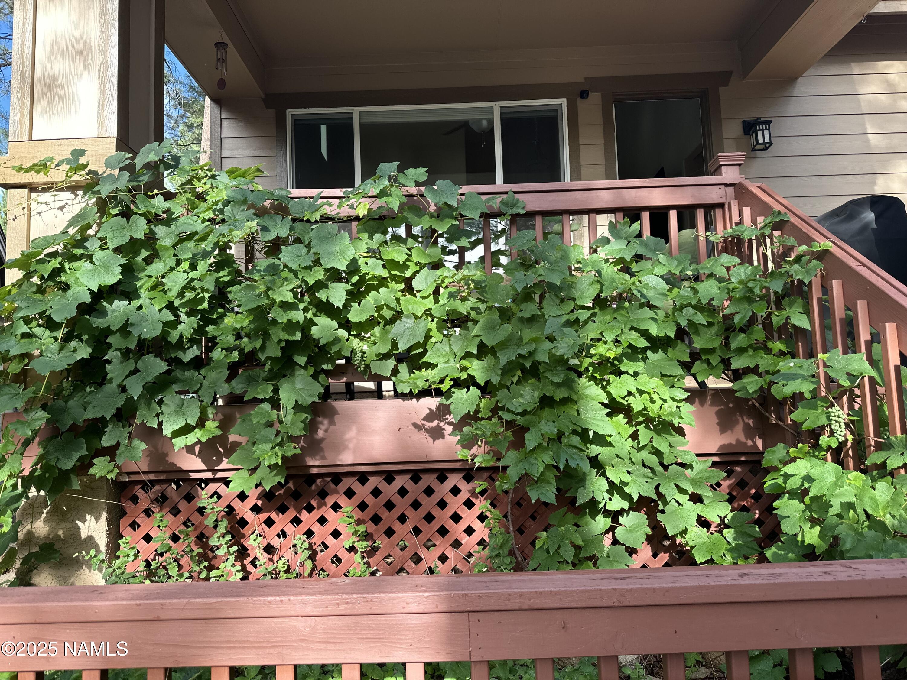 3239 Merryvale Lane Flagstaff, AZ 86005 - Photo 38 of 40 a potted plant sitting in front of a house