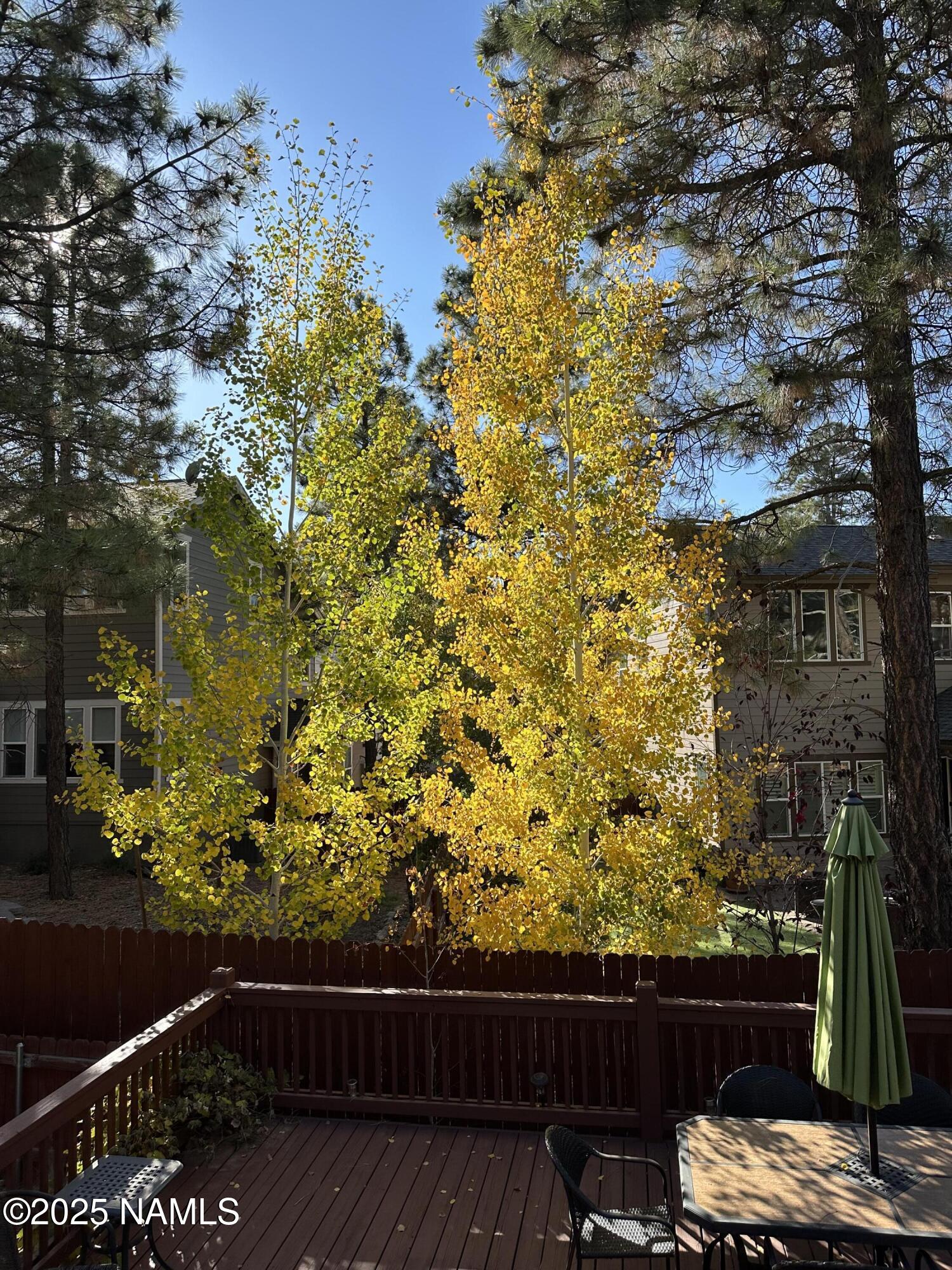 3239 Merryvale Lane Flagstaff, AZ 86005 - Photo 39 of 40 a view of balcony with wooden floor