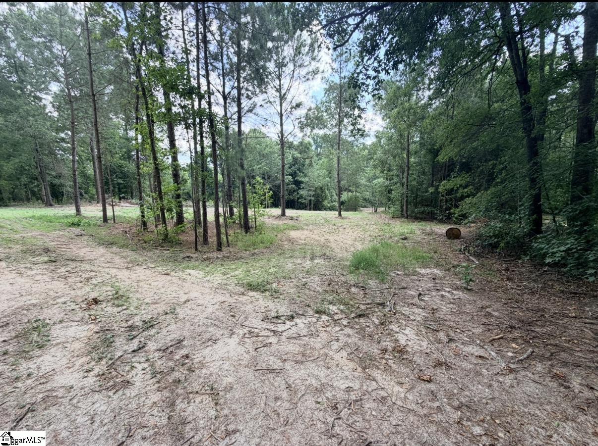 0 Lee Street Johnston, SC 29832 - Photo 4 of 21